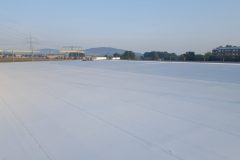20160722_062757-scaled