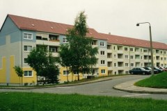 Dachziegeldeckung-6